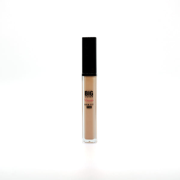 [Etude House] Big Cover Skin Fit Concealer PRO 7g