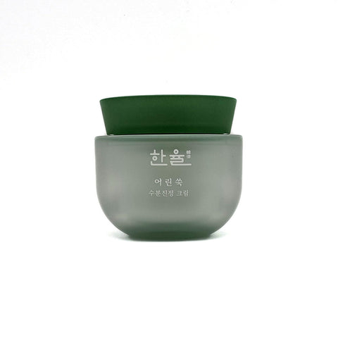 [Hanyul] Pure Artemisia Watery Calming Cream 50ml - Cosmetic Love