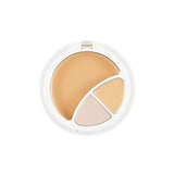 [Nature Republic] Provence Intense Cover 3 In 1 Strobing Foundation 12g