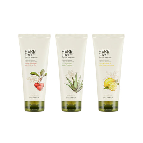 [The Face Shop] Herb Day 365 Master Blending Cleansing Foam 170ml