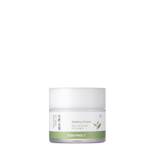 Tonymoly The Green Tea True Biome Watery Cream 80ml,[Tonymoly] The Green Tea Tru TM1855